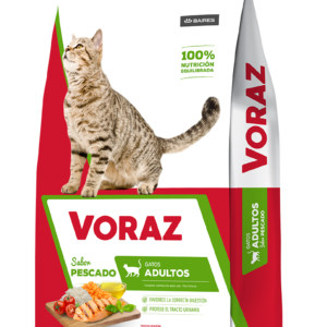 Voraz gato adulto 20k