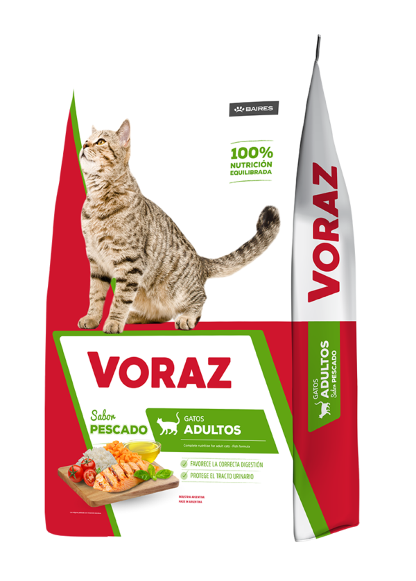 Voraz gato adulto 20k