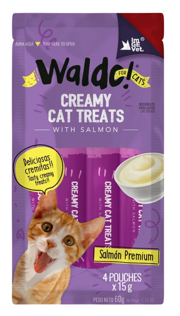 Waldo Creamy Salmon