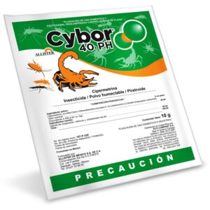 Cybor sobre