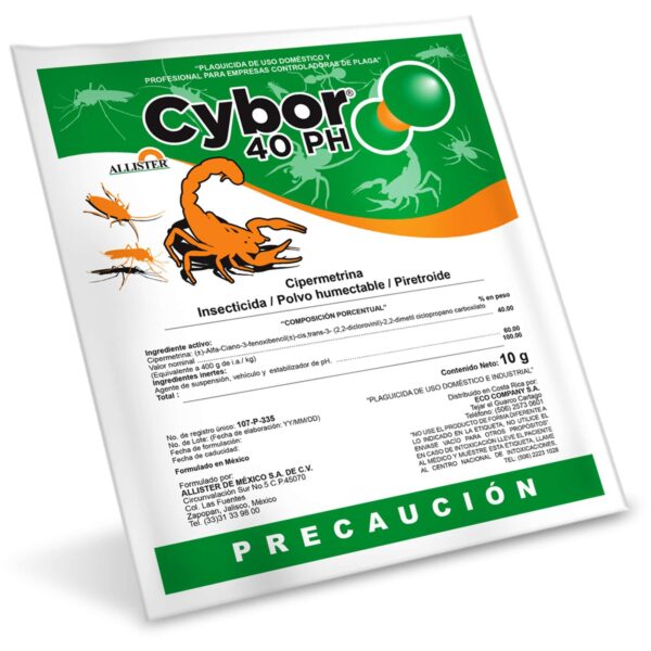 Cybor sobre