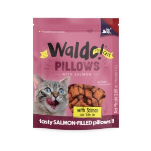 Waldo pillow salmon
