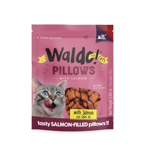 Waldo pillow salmon