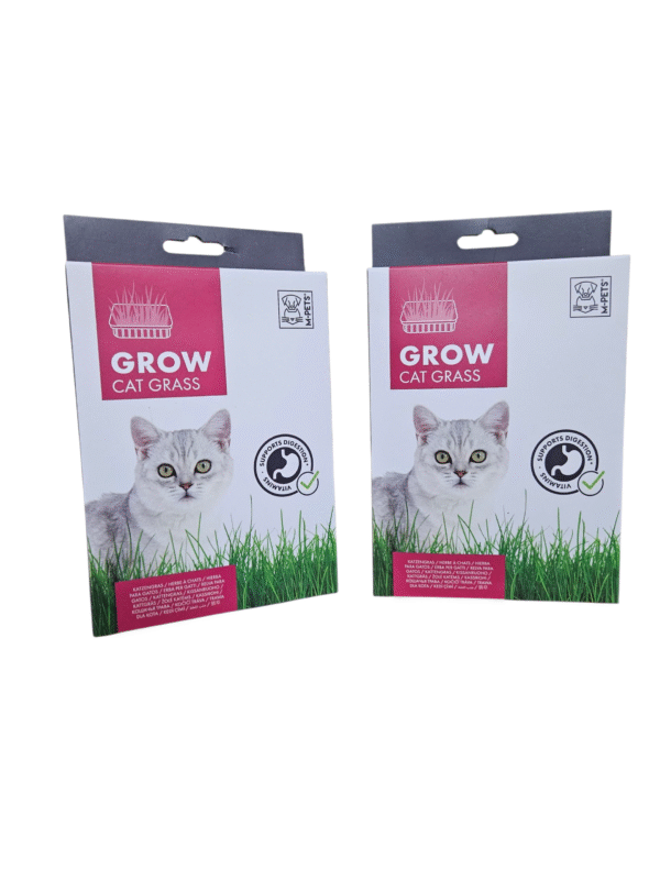 Mpets Grow Cat Grass 1 unidad