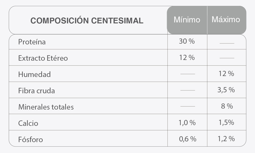 Old prince adulto raza grande 15k - Imagen 2
