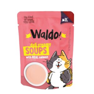 Waldo sopa para gatos salmon 43g