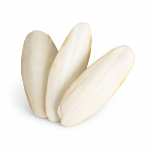 Hueso de jibia mediano 2u